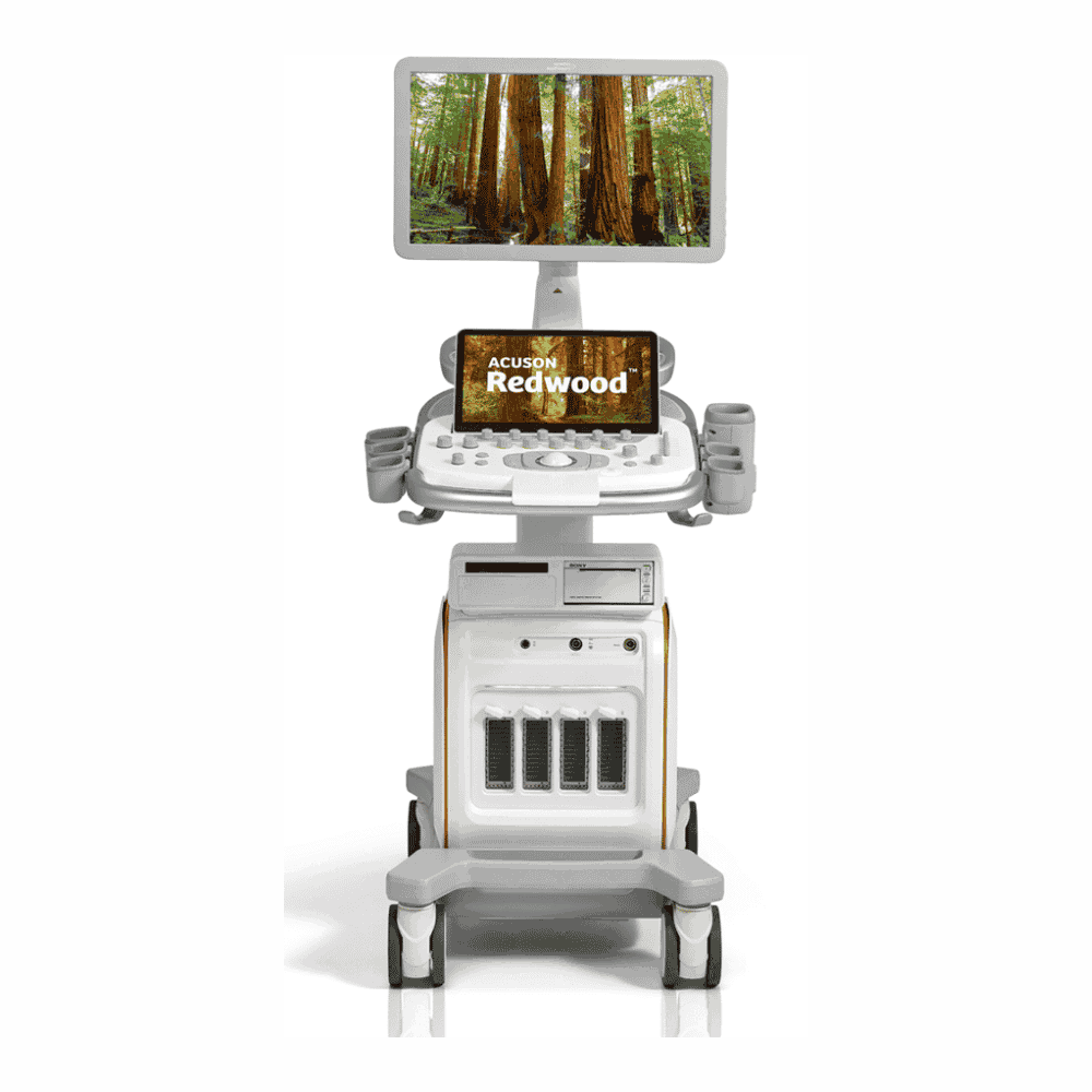 Ecograf Siemens Acuson Redwood