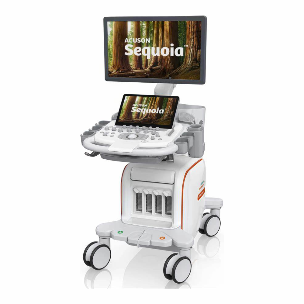 Ecograf Siemens Acuson Sequoia